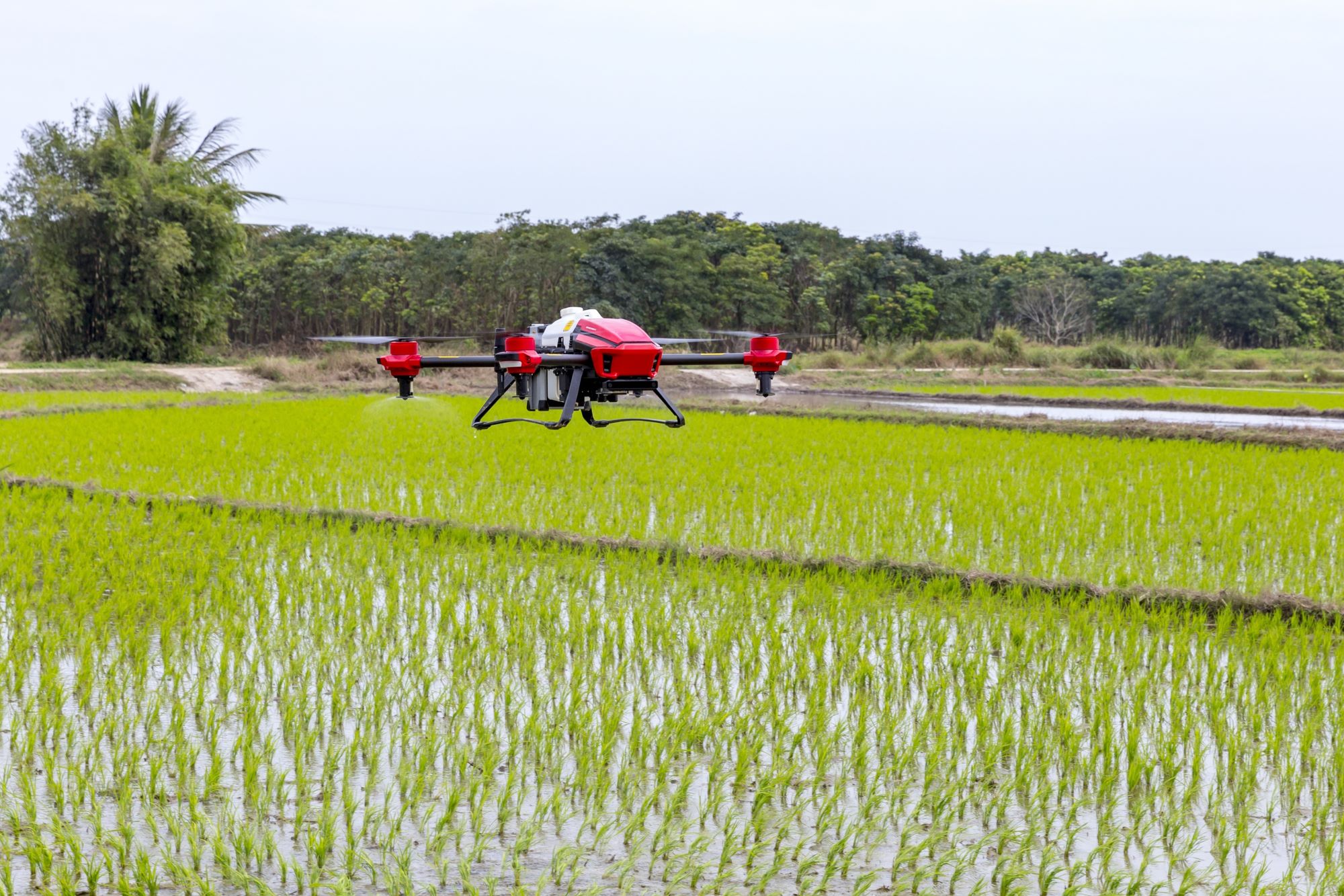 How AI Is Changing the Way We Approach Sustainable Agriculture